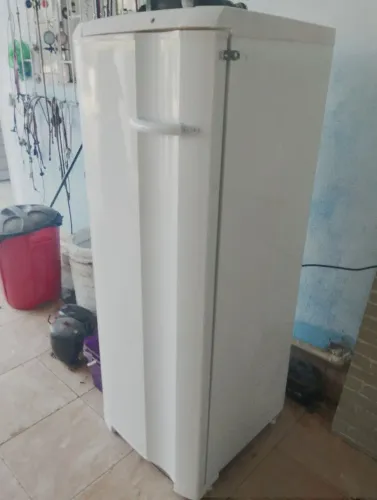 Freezer vertical Eletrolux 