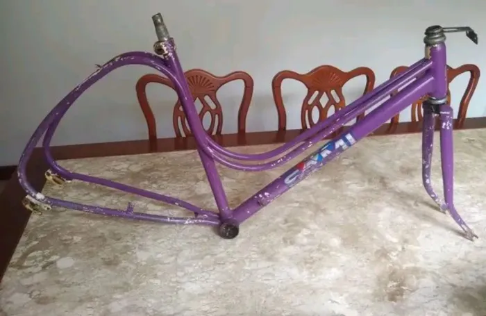 Quadro bicicleta
