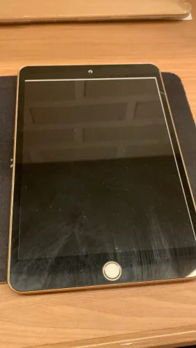 iPad mini 5