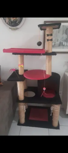 Lindo Playground para gatos