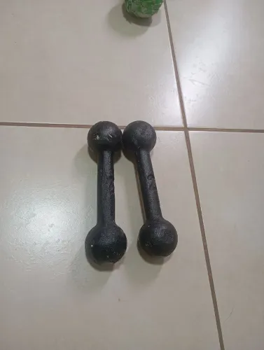 Alteres um par de 2 kg cada