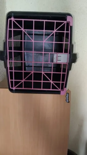 Casinha de cachorro pra viagens numeração (5) nova