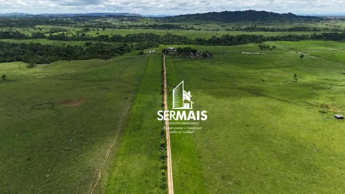 1.360 Hectares disponíveis P/ Venda em ??Ouro Preto DOeste- Rondônia.