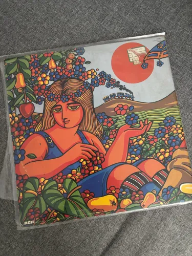 Disco de vinil Alceu Valença - Estação da Luz