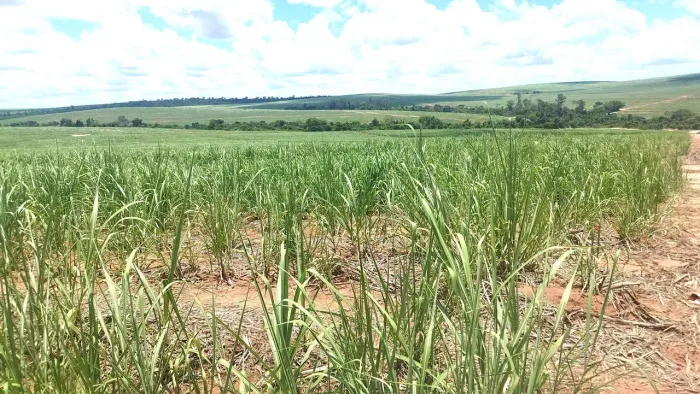 CANA - ALTO ALEGRE - 19.5 Alqueires - Nossa Senhora das Graças - PR