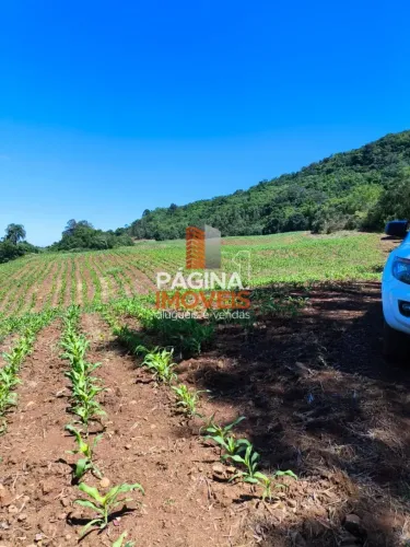 Página 1 Imóveis anuncia Sítio/Terreno à Venda em Linha Marcondes, Gramado