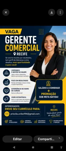 Gerente Comercial e Supervisor de Vendas