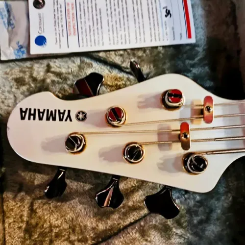 Yamaha BBG5S .