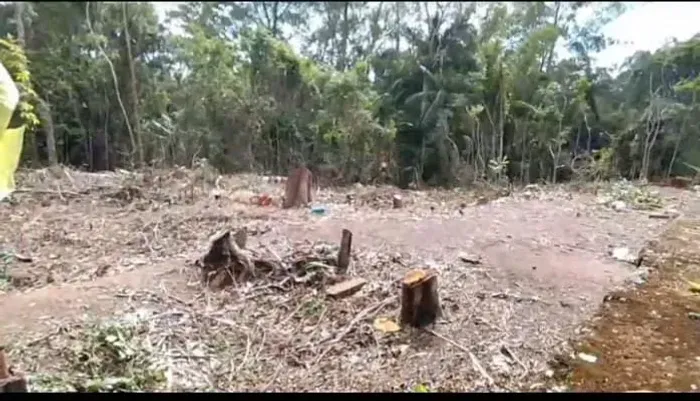 Lindos terrenos em Ribeirão Pires