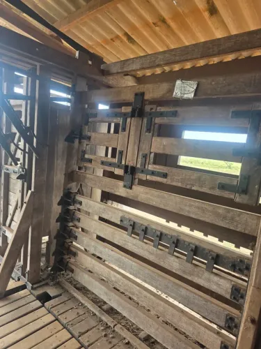 fazenda com 66.6 hectares em pureza de porteira fechada uma excelente oportunidade