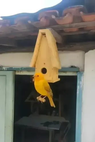 Casinha/ Abrigo/ Ninho para Passarinhos- Feito em Madeira Toda Parafusada