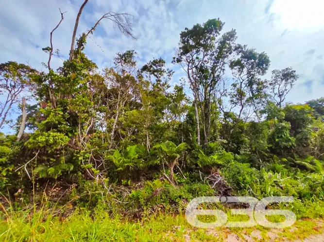 Terreno | São Francisco do Sul | Ervino