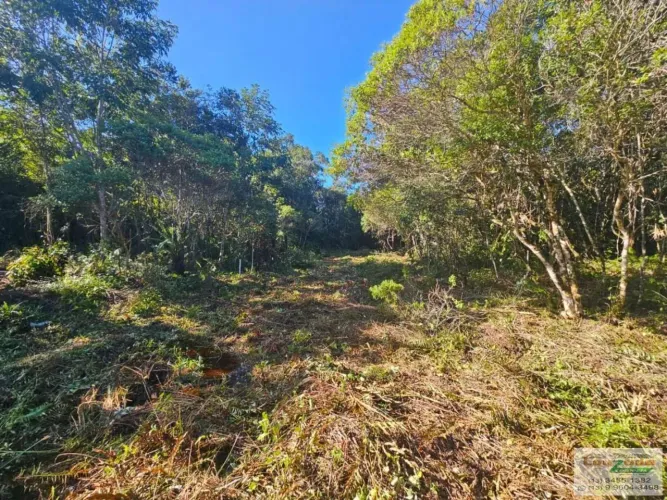 Terreno para Venda no bairro Pérola Negra em Peruíbe/SP
