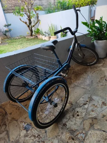 Bike Bicicleta Triciclo Adulto