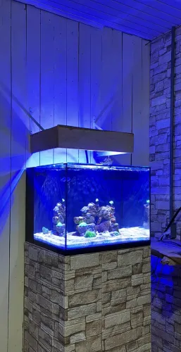 Aquario 50x50x40