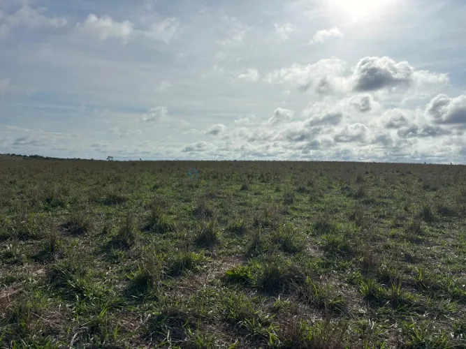 Vendo!!!  fazenda de 2.216 hectares na região da cidade de Tesouro MT