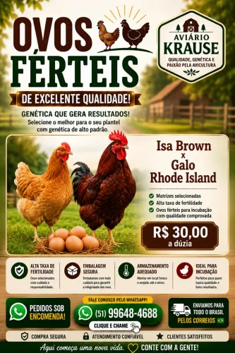 Ovos Galados