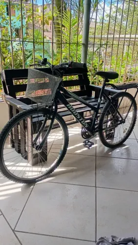 CAMELO VOADOR