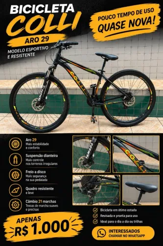 Bicicleta colli aro 29