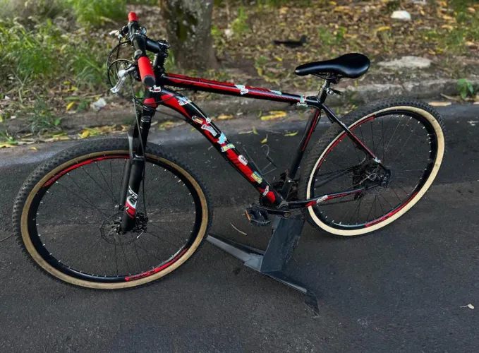 BICICLETA ARO 29