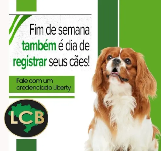 Seu cão de Raça está sem Pedigree?
