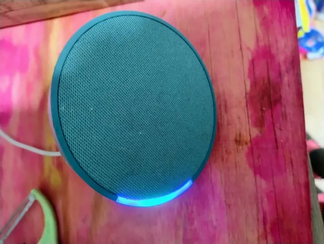 Alexa 