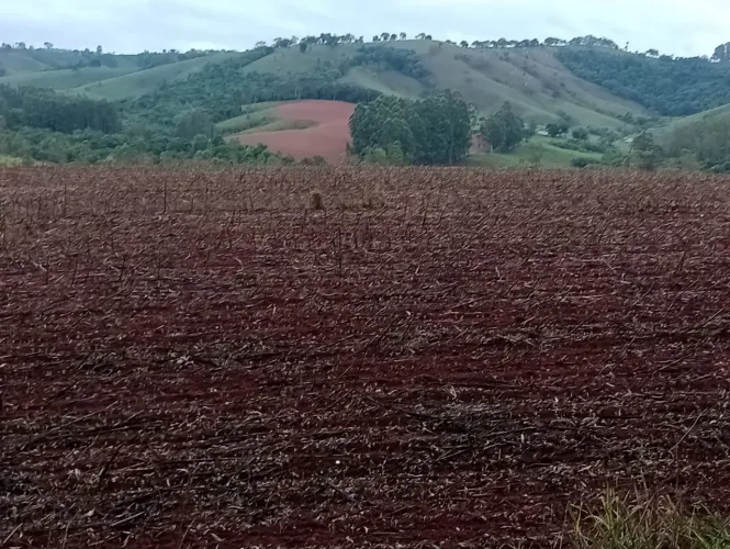 fazenda em jacui m,g 64 alqueires 8.000.000.00 ( jo-car )