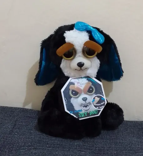 Feisty cachorrinha