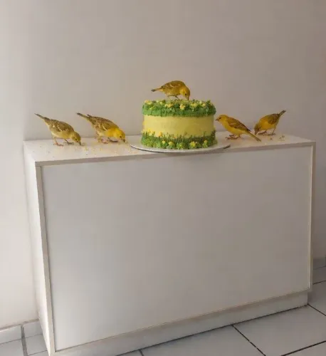 Momentos em delícias MDF designer pode usar em designer comercial