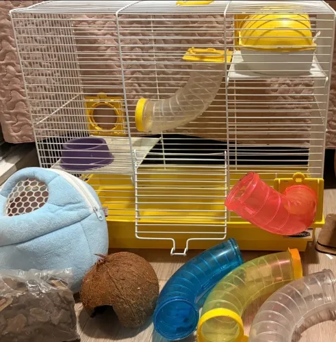 GAIOLA PARA HAMSTER COM ACESSÓRIOS COMPLETOS À VENDA!