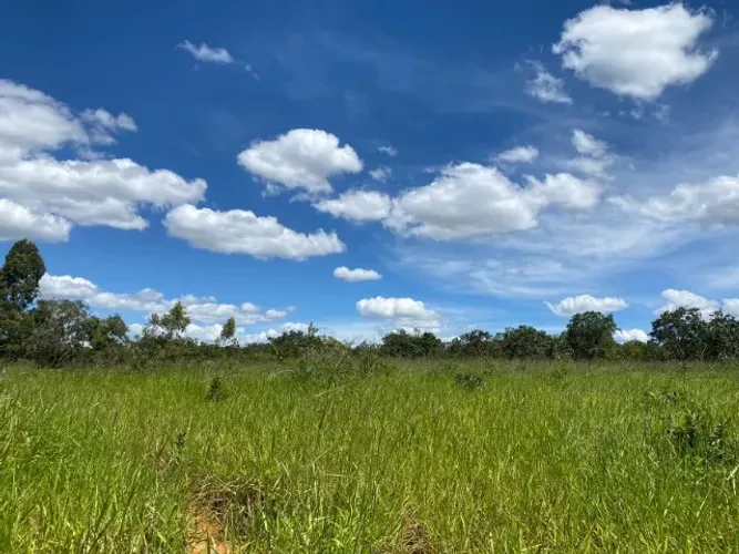 Terreno de 4 ha, plano, 50%  formado em baquearia, 80% terra de cultivo, Jaboticatubas.