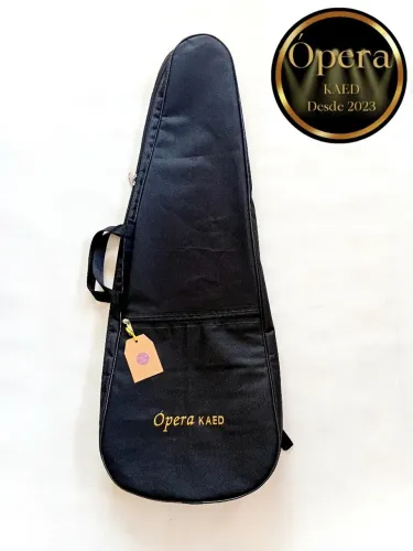 Bag/Capa para guitarra mod. 1