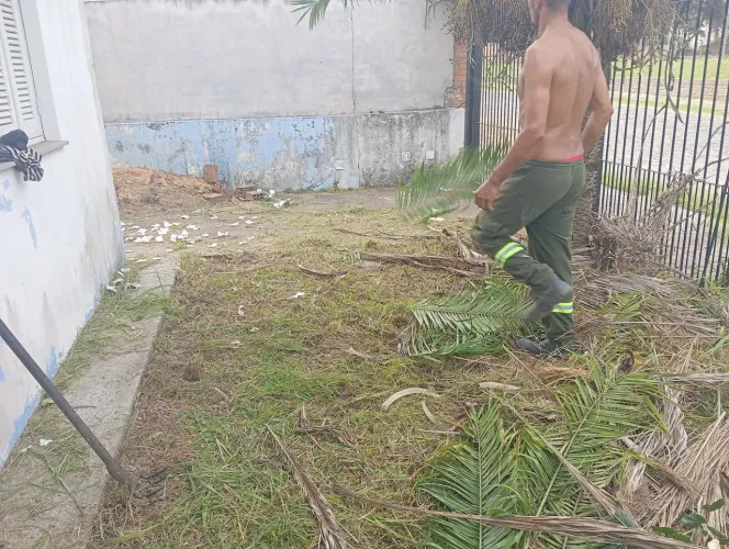 Corte de grama e podas de árvores em geral 