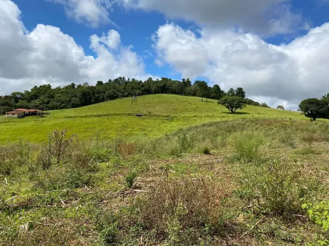 Aposte em valorização e qualidade de vida  invista em Ibiúna!