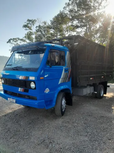 VW 6.90 Carroceria Boiadeira