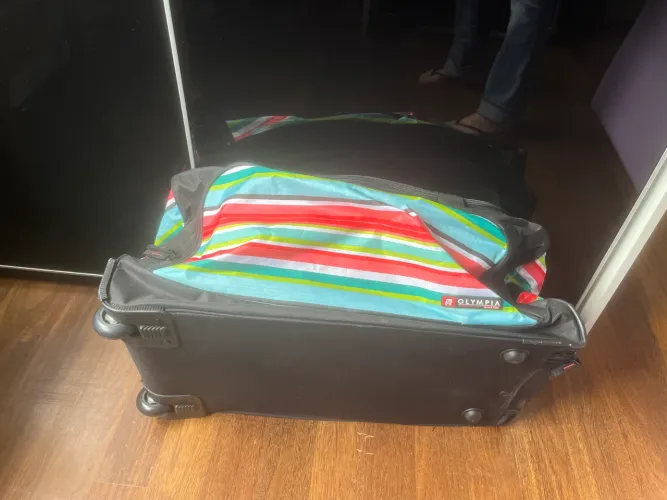 Bolsa mala rodinhas listrada colorida