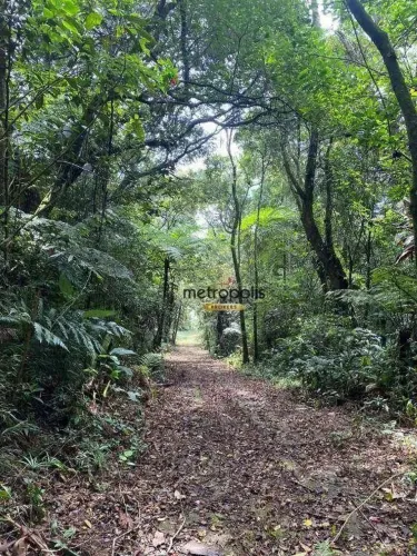Chácara com 5 dormitórios à venda, 13000 m² por R$ 690.000,00 - Vila Jurubatuba - São Bern