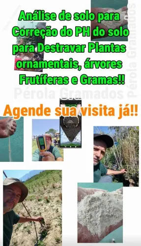 Análise de Solo correção de PH