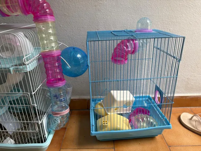 Gaiolas hamster e roedores 