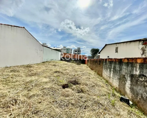 Terreno à venda, Santa Mônica - Uberlândia/MG - Rotina Imobiliária