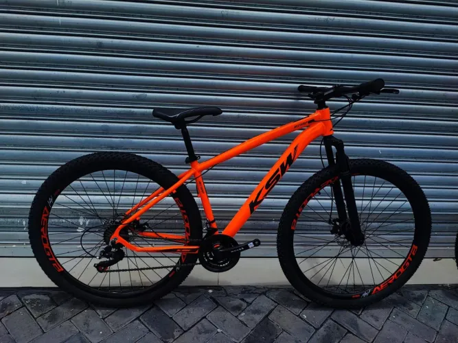 Bicicleta