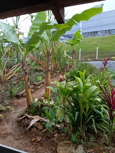Terreno no bairro aventureiro