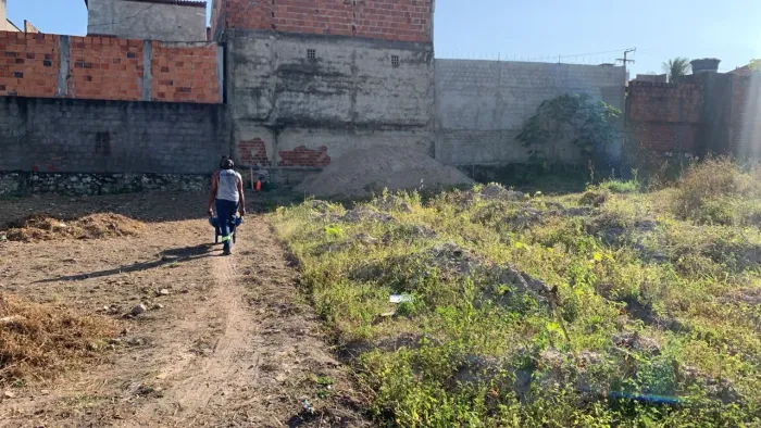 Vendo