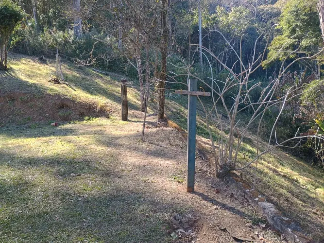 Contrato de compra e venda
