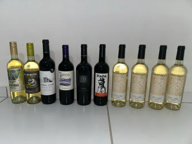 VINHOS tintos e brancos, chilenos portugueses e espanhóis 