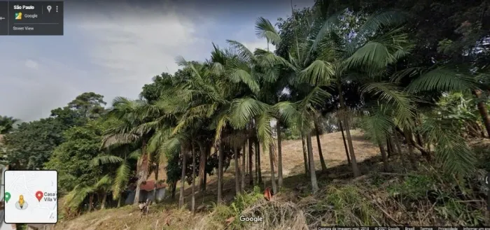 Área para alugar, 20000 m² por R$ 40.000,00/mês - Três Cruzes - São Paulo/SP