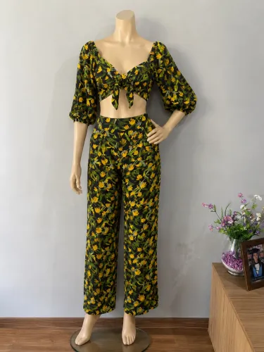 Conjunto Farm