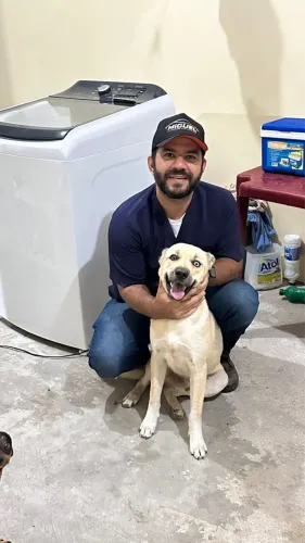 Husky com pastor alemão 