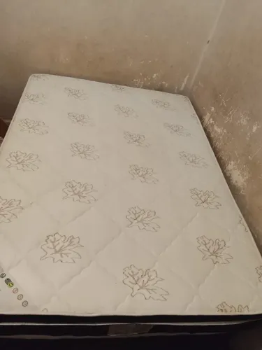 Cama box