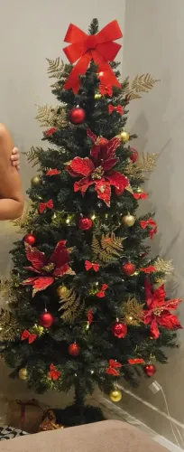 Árvore de natal 2,20m + enfeites